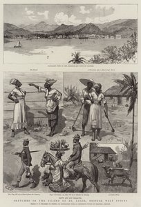 Luonnoksia St Lucian saarella, Brittiläisessä Länsi-Intiassa
